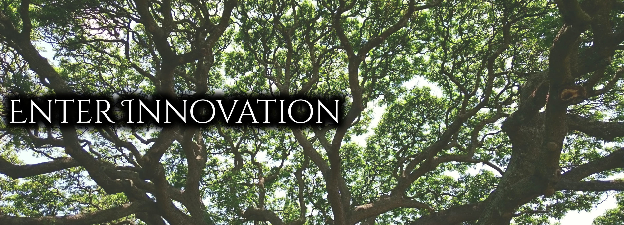 Enter Innovation Inc.ロゴ
